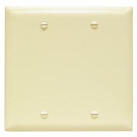 Pass & Seymour TP23I Blank Plates Box Mounted Two Gang Ivory Thermoplastic