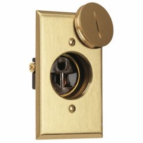 Pass & Seymour 1542-TR-DR Slater 1-Outlet Tamper Resistant Display Receptacle With Brass Plate, 125 VAC, 15 A, 2 Poles, 3 Wires, Brown