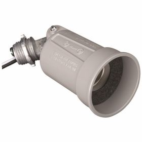 Pass & Seymour PAR1 Weatherproof Lampholder, Medium