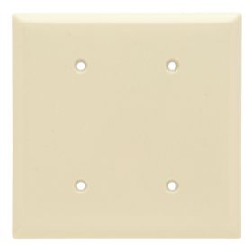 Pass & Seymour SP24-I Standard Blank Wallplate With Color Matching Screws, 2 Gangs, Ivory, 5 x 5 x 0.35 in, Thermoplastic