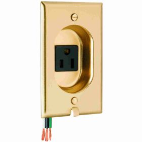 Pass & Seymour Straight Blade Receptacle S3733 Clock Hanger Decorator Wall Mount Straight Blade Receptacle With Brass Plate, 125 VAC, 15 A, 2 Poles, 3 Wires, Brass