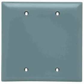 Pass & Seymour TradeMaster TP23-GRY Standard Blank Wall Plate, 2 Gangs, Gray, 4-11/16 in H x 4-3/4 in W, Nylon