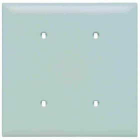 Pass & Seymour TradeMaster TP24-W Standard Blank Wallplate, 2 Gangs, White, 5 in, Thermoplastic