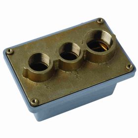 Pass & Seymour WPBJ22 Weatherproof Swimming Pool Junction Box, Die Cast Aluminum, 22 cu-in, 2 Outlets