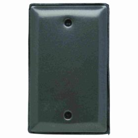 Pass & Seymour WPB1-BR Weatherproof Blank Cover With Gasket and Screws, 6 in L, Stainless Steel