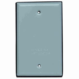 Pass & Seymour WPB1-G Weatherproof Blank Cover With Gasket and Screws, 6 in L, Stainless Steel