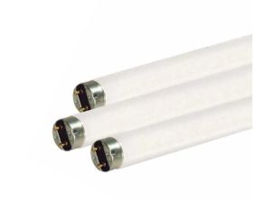 Satco S7949 18 In. T8 Fluorescent Lamp, 15 Watts, Medium Bi-Pin G13 Base, 850 Lumens, Cool White