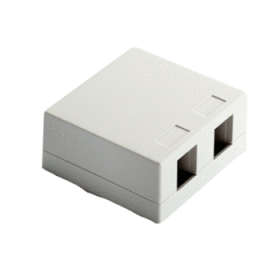 Pass & Seymour On-Q WP3502-IV Surface Mount Box 2-Port Ivory