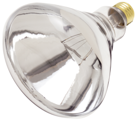 Satco S4999 R40 Incandescent Reflector Heat Lamp 250 Watts Medium E26 Base Dimmable Clear